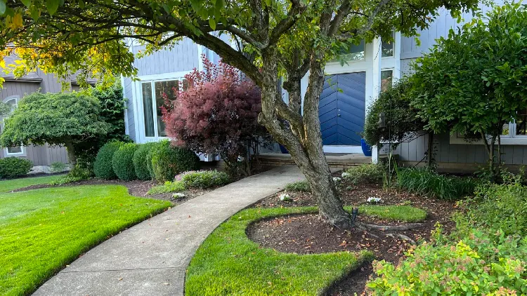 Spring cleanup and native planting installation with sustainable landscape practices in Bainbridge Township
