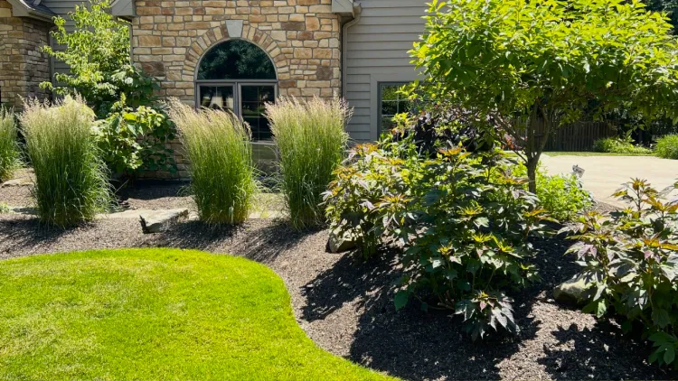 Seasonal landscape maintenance with rain garden design and native plantings in Burton