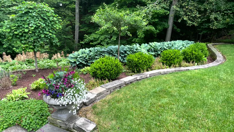 Sustainable landscape maintenance with rain garden installation and native plantings in Chagrin Falls