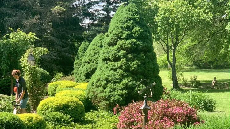 Native planting installation with seasonal care and sustainable landscape maintenance in Chesterland