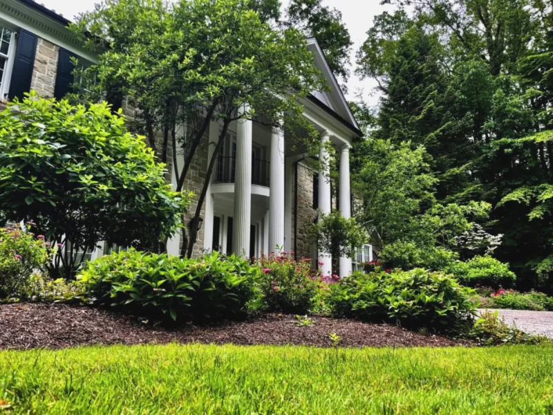 Gardening services, pruning and landscape services for a luxury home with designed shrub beds and mature trees