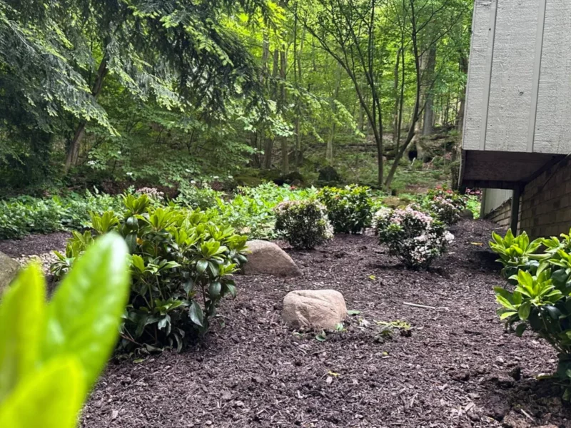Sustainable horticulture care and gardening services installed and maintained by Carmel Landscapes with natural plantings