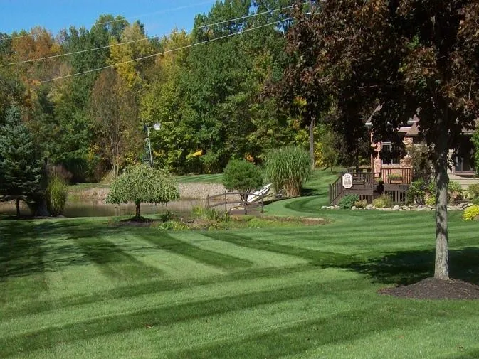 Professional lawn care services by Carmel Landscapes focus on sustainable practices for healthy landscapes and professional lawn mowing