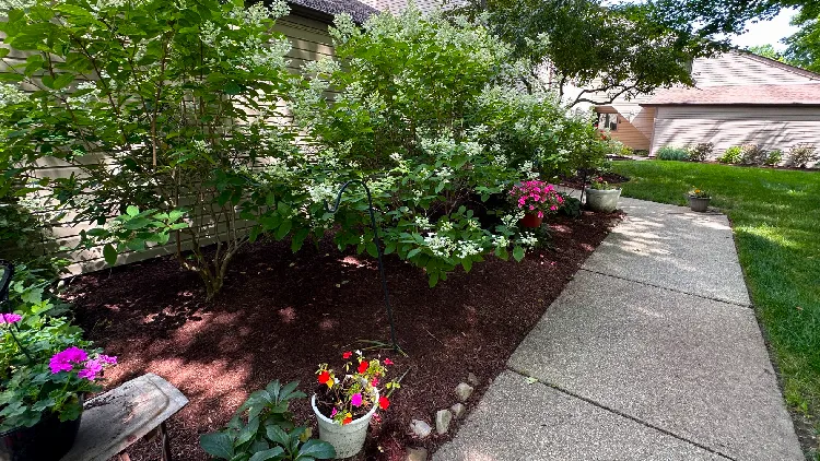 Sustainable landscape maintenance with rain garden installation and native plantings in Moreland Hills