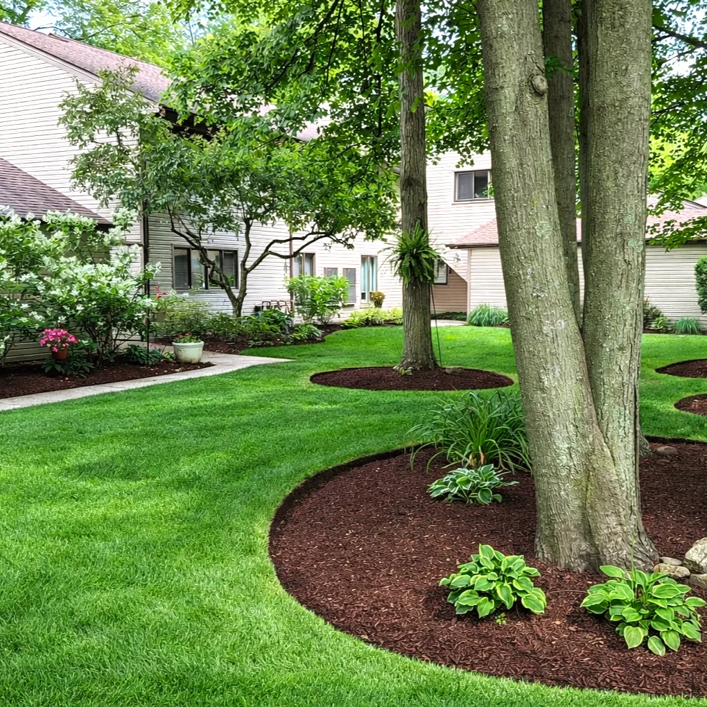Professional mulch delivery and installation around mature trees with Victorian edging, Northeast Ohio.