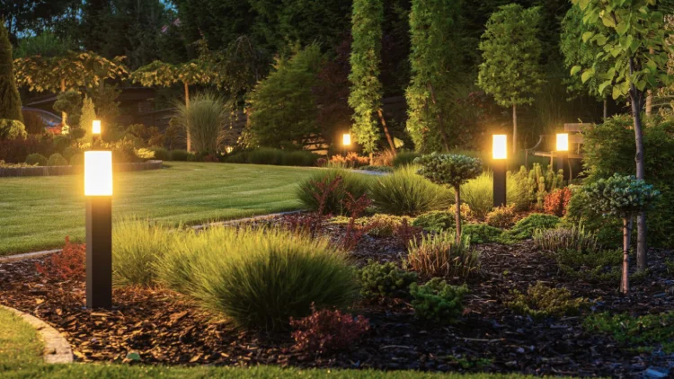Outdoor lighting illuminates professionally designed residential garden at dusk.