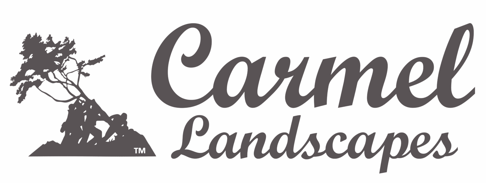 Certified Landscape Professionals providing beautiful sustainable landscapes you can grow with.