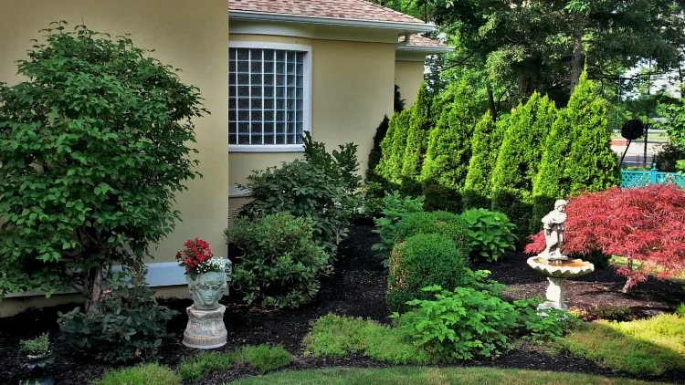 Rain garden with native plantings, bushes, trees and stone fountain.