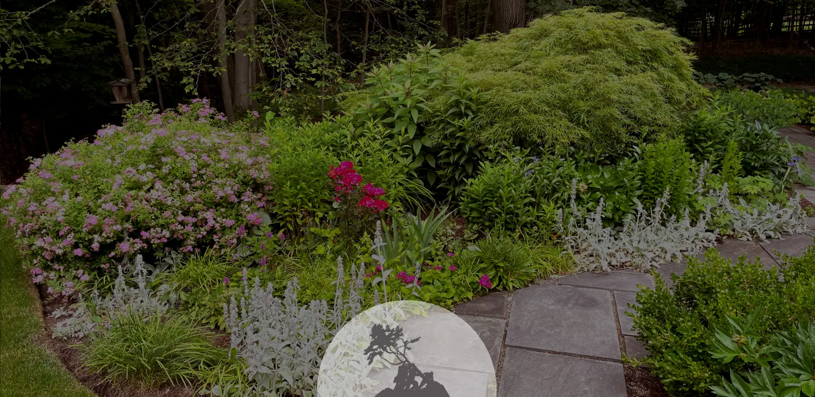Certified Landscape Professionals providing beautiful sustainable landscapes you can grow with.