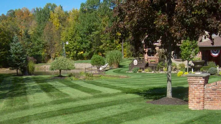 Seasonal landscape maintenance with rain garden installation and native plantings in Russell Township
