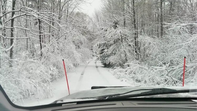 snow plow truck preparing to plow a snow-covered driveway in the forest