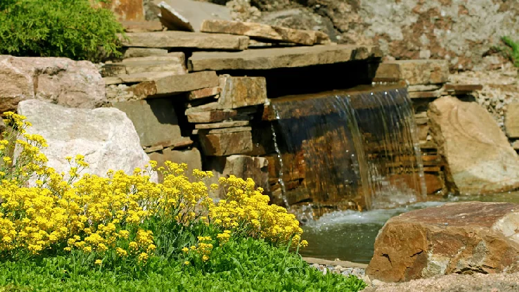 Waterfall installation features flowing water into a pond, surrounded by boulders and yellow flowers.