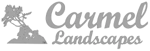 carmel-final-logo-300x103 mobile