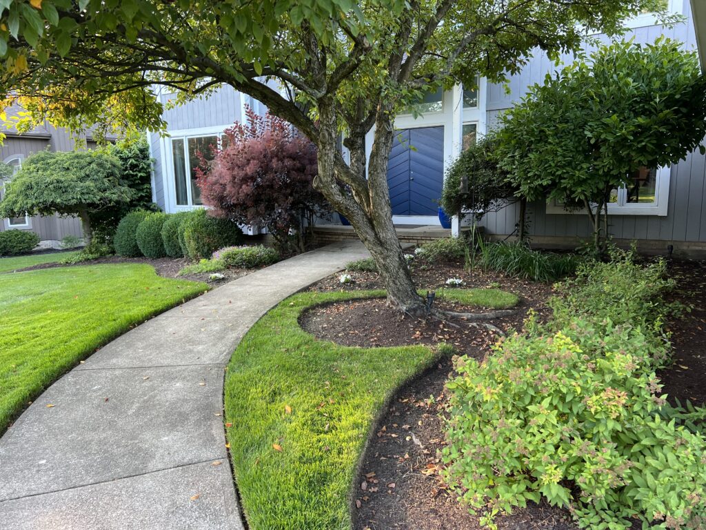 Professional landscaping services in Bainbridge Township, Ohio, including native plantings, seasonal garden installations, and sustainable outdoor solutions.