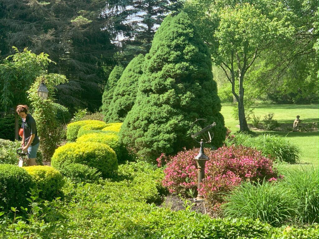 Native plantings and mulched beds in Chesterland residential landscape