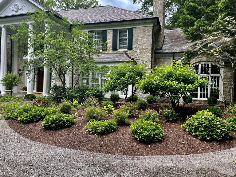 Certified Landscape Professionals providing beautiful sustainable landscapes you can grow with. Properly pruned Magnolias and hydrangeas pepper this landscape in the 44040 zip code, maintained by Carmel Landscapes located in Middlefield Ohio.