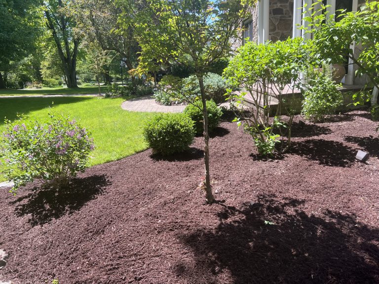 fresh mulch installed after a spring Clean up by Carmel Landscape in the Chagrin falls neighborhood.