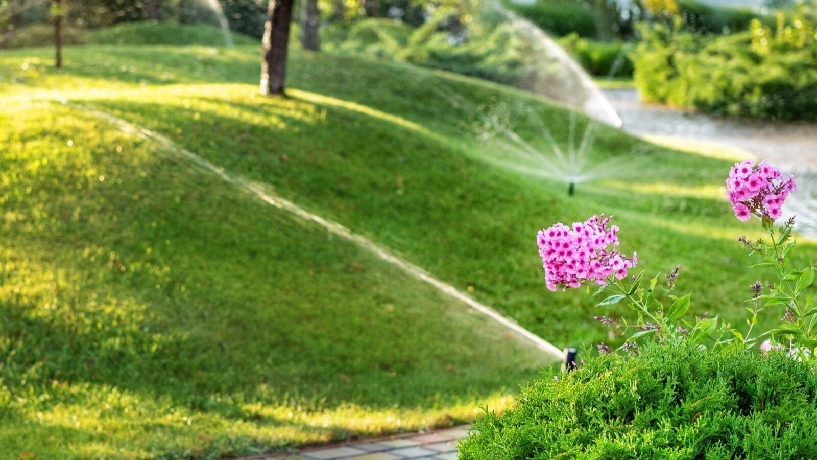 From Soil to Soul: Professional Planting Techniques for Spring