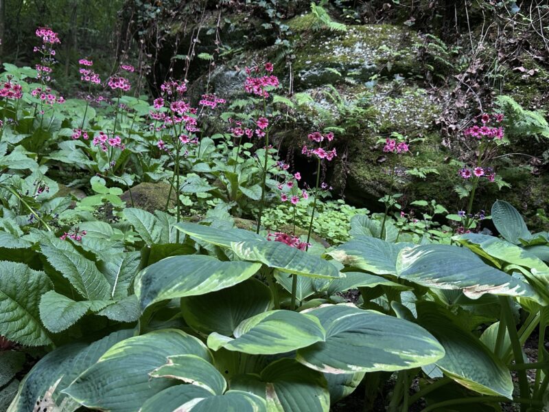 landscaping services in the chagrin falls area