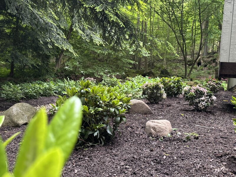local landscaping company Carmel Landscapes providing professional landscaping services to its homeowners and business's in the chagrin falls area.