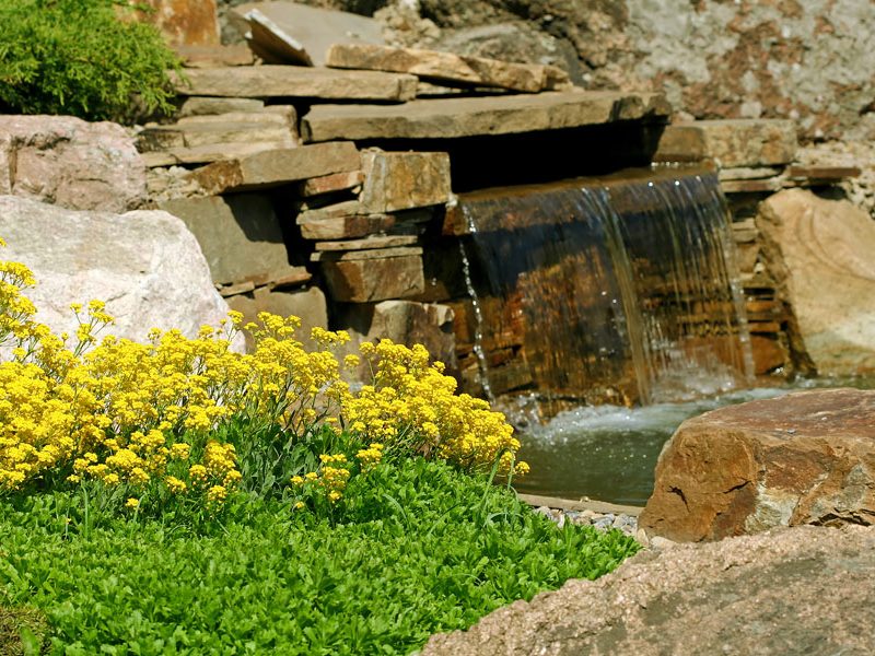Stone hill, cascade in botanical to a garden