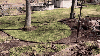 A wooded backyard featuring biophilic design and a custom patio installation is preparing for spring and summer landscaping services.